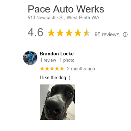PaceAutoWerks's tweet photo. ⭐️⭐️⭐️⭐️ We love getting any and all feedback from our customers, as you will see Lola can escape the spotlight either!  

If you make it in, make our day and give us a review!

#DogsofPerth #PerthMechanic #PerthSmallBusiness #PerthCBD #PaceAutoWerks #Perth #WestPerth https://t.co/0NYygvG0Zb