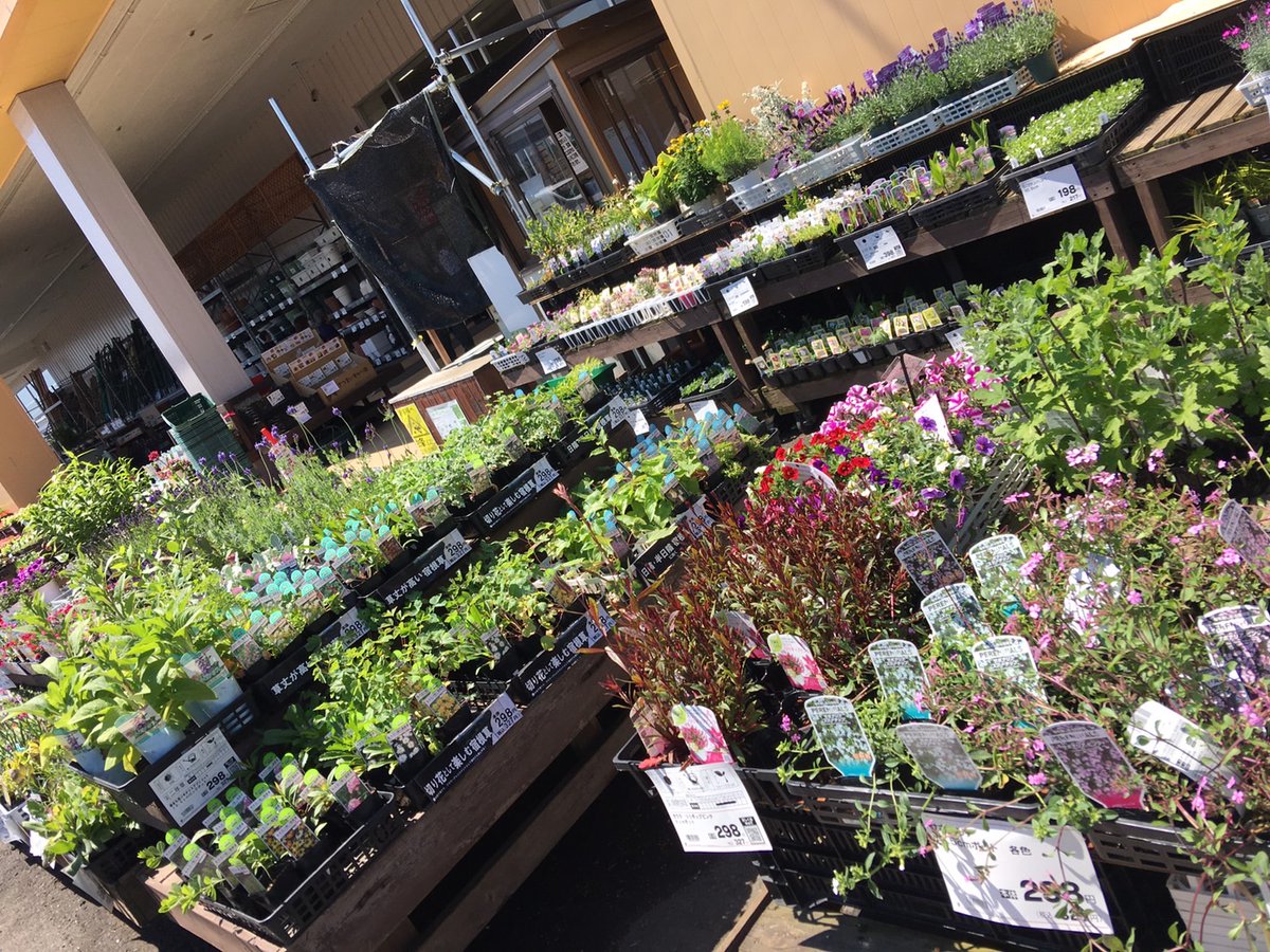 5月10日、本日ホーマック北上藤沢店さんです。朝からお花が🌼満開🌼です👐🏻17時頃までです。