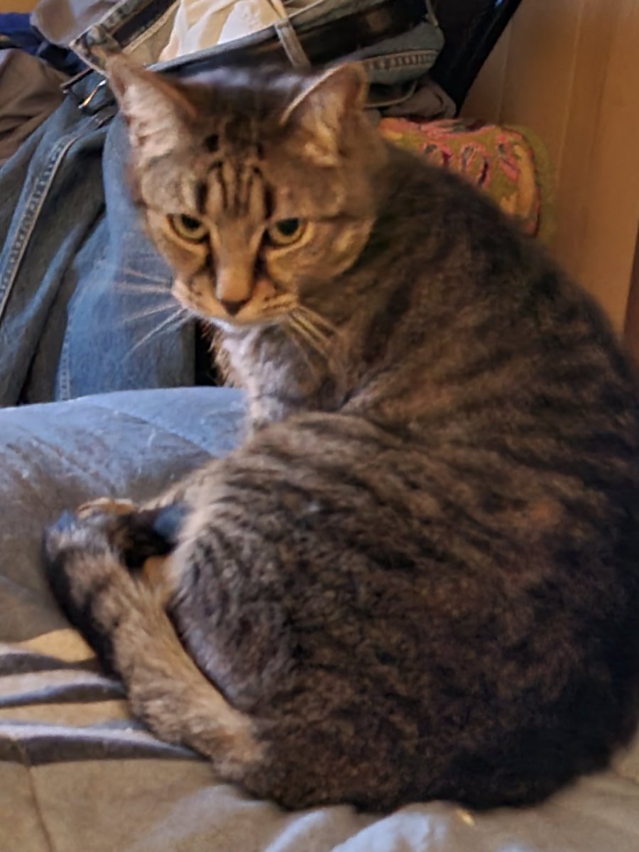 sweetgeorge84's tweet photo. Dad is fine everybody and we're putting him to bed. We appreciate everybody caring and he's okay he just needs to rest. Good night everybody we love you and we thank you😻🐶😻🌙😴 https://t.co/RTE9HLsA2P