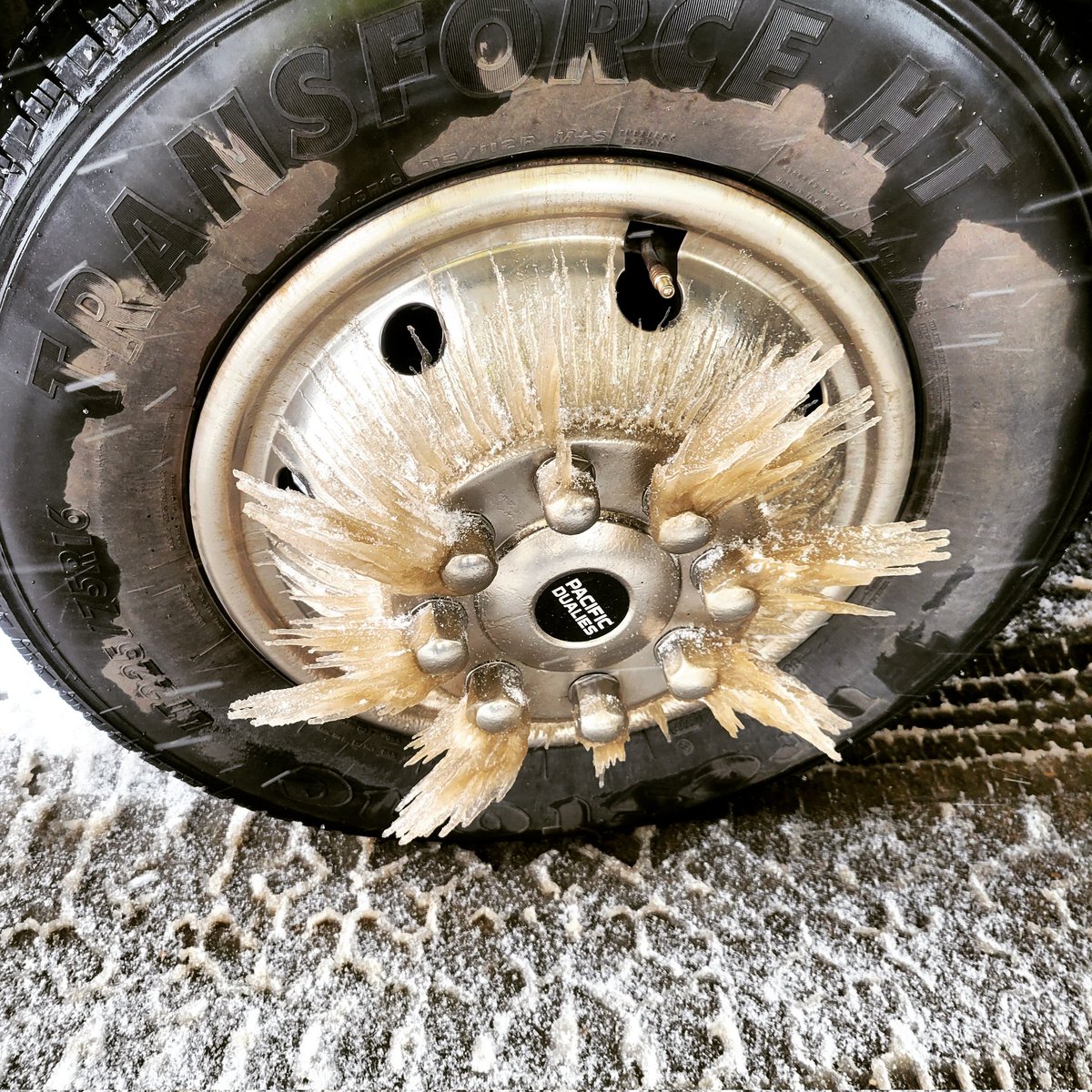Kertrats's tweet photo. "April showers bring May flowers."

Okay, cool. But what do May snowstorms bring?

Well, a pretty cool accidental work of art, for one thing!

Happy May 9th, everyone!

#springtimeinalberta
❄️❄️❄️ https://t.co/hEPS9X8H8l