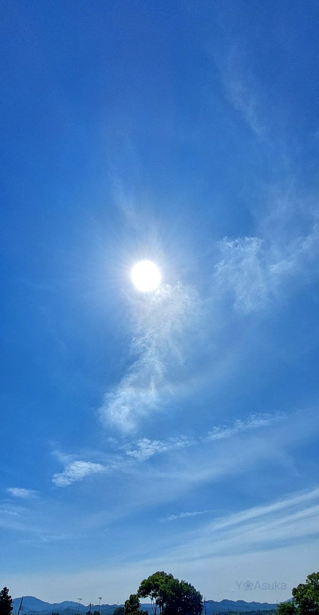 yumeasutw's tweet photo. #青空 にお日様燦々☀️軽やかな #巻雲 にうっすらと #ハロ が見える火曜日の朝💙
    ✈️#飛行機雲 を棚引かせ
／  関空を目指す #飛行機

予想最高/最低気温🌡️23℃/8℃
晴れ☀️
良く晴れて爽やかなお洗濯日和となりそうです👕👖🌿

#空の名前
#天気の図鑑 #雲友
#FedEx #B777F
#a2022 #a0510 #a202205 https://t.co/3pTdxAhDwD