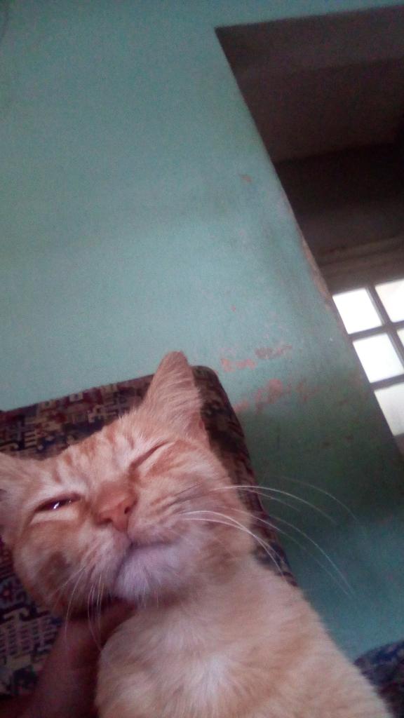 odio cuando la cámara frontal se pone de pronto😹