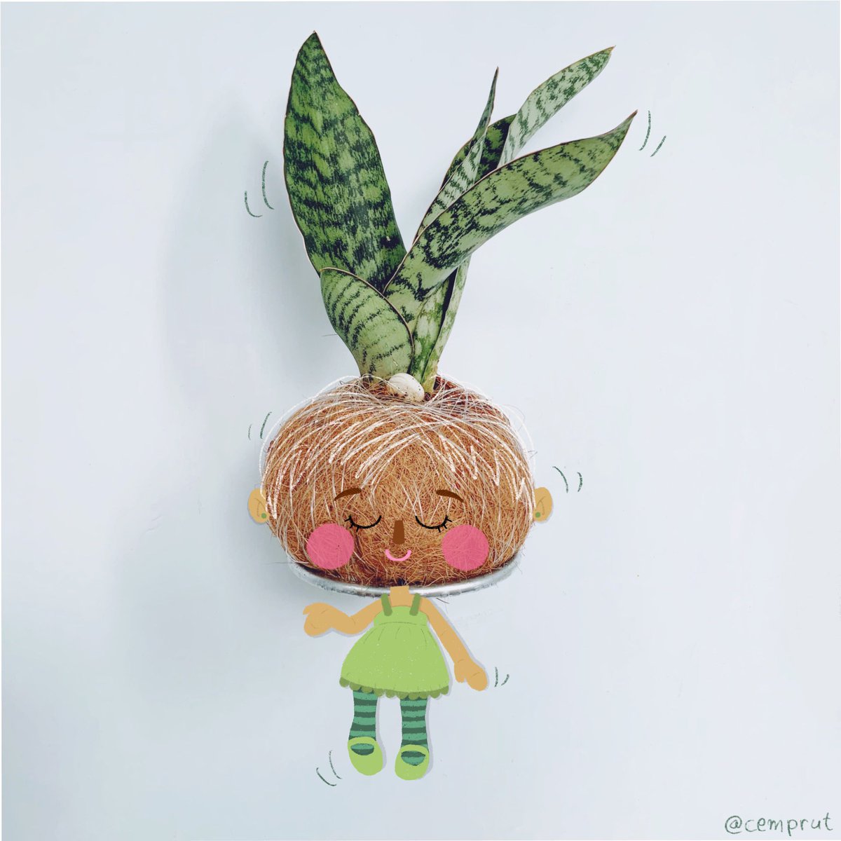 GM from my Mom’s Kokedama named Vera 🙋🏻‍♀️🌱

Have a crafty day for you friends 🙋🏻‍♀️💕

Craft On !!!