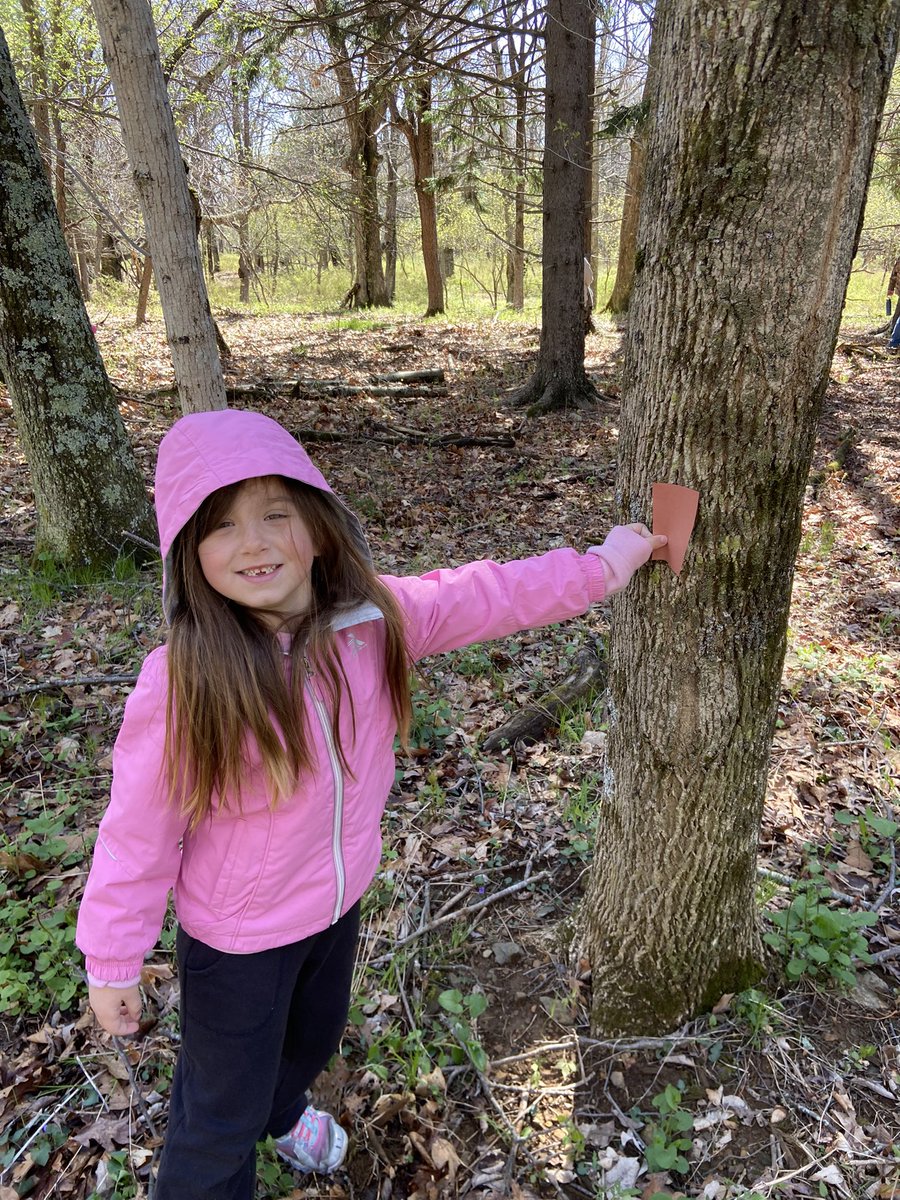 msflanary's tweet photo. Ww is for Wilderness Walk in the 
#ShenandoahNationalPark! @RBESCardinals  
#BackwardsBootcamp #OutdoorLearning #Park #NationalPark #Rangers https://t.co/ga0i7ZWCxF