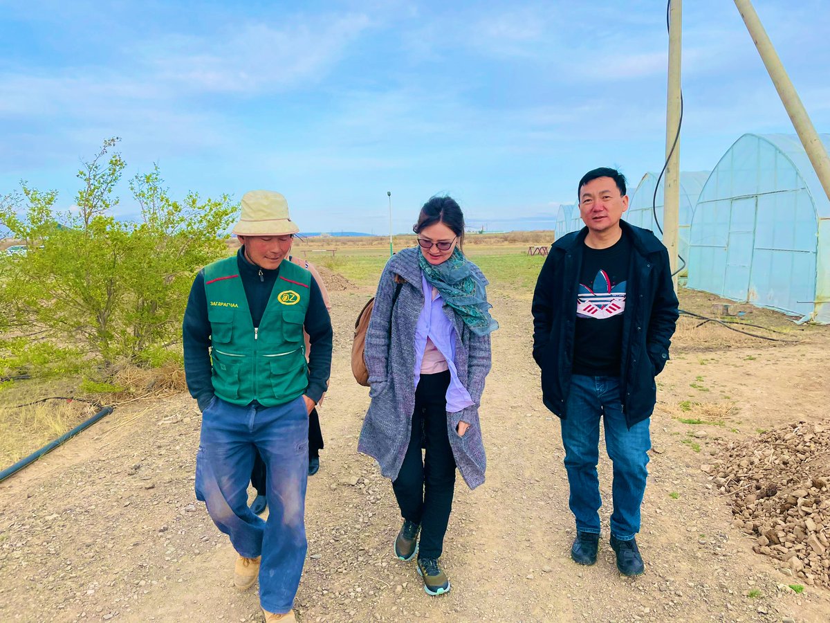 PINinMongolia's tweet photo. Бид Өмнийн говьд тариаланчид болон бичил, жижиг бизнесүүд Свич Эйшиа #switchasia төслийн хүрээнд хөдөө аж ахуй, хүнс, ус, ундааны салбарт ногоон, тогтвортой дадал нэвтрүүлж хэрхэн хувь нэмрээ оруулж болохыг судалж байна. https://t.co/rhWcp6IGn1