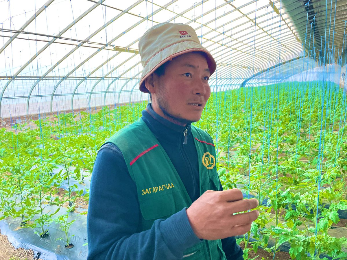 PINinMongolia's tweet photo. Бид Өмнийн говьд тариаланчид болон бичил, жижиг бизнесүүд Свич Эйшиа #switchasia төслийн хүрээнд хөдөө аж ахуй, хүнс, ус, ундааны салбарт ногоон, тогтвортой дадал нэвтрүүлж хэрхэн хувь нэмрээ оруулж болохыг судалж байна. https://t.co/rhWcp6IGn1