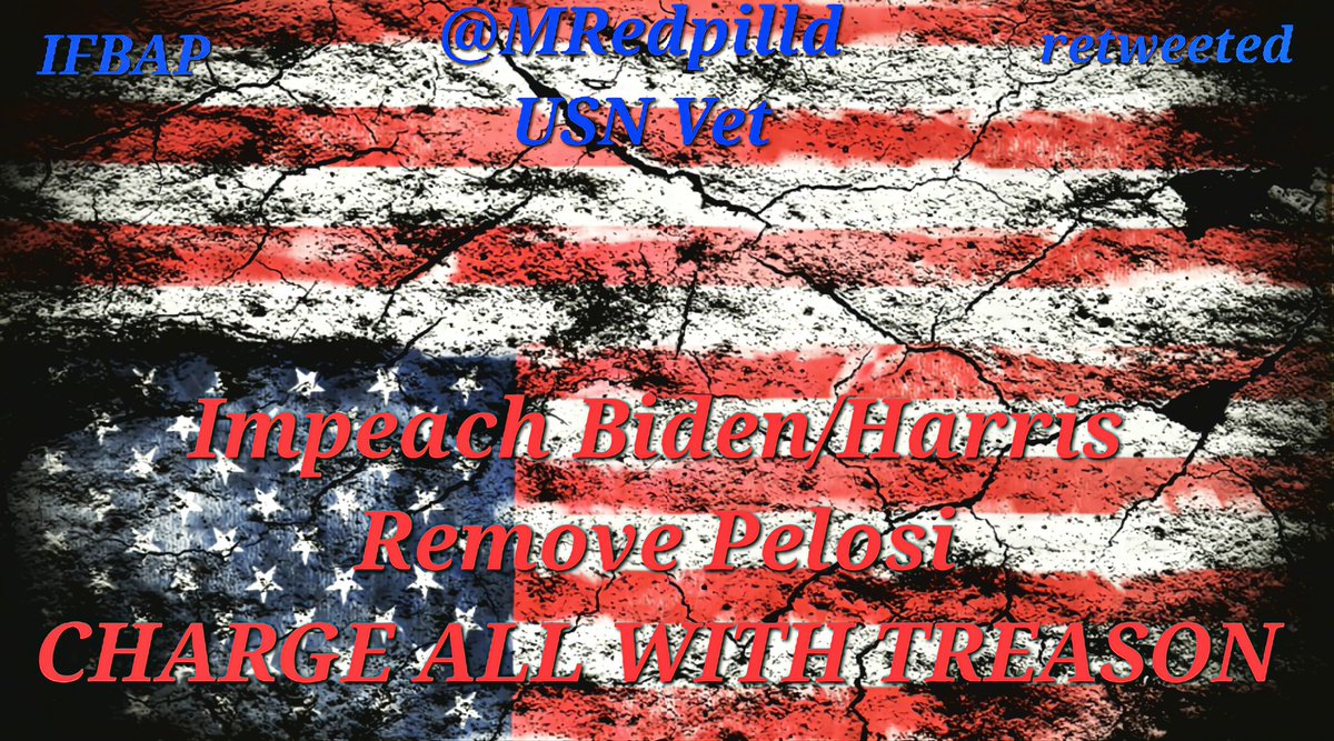 Mike, Constitutionalist Veteran tweet media