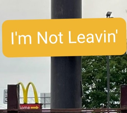 sanderscattle's tweet image. 