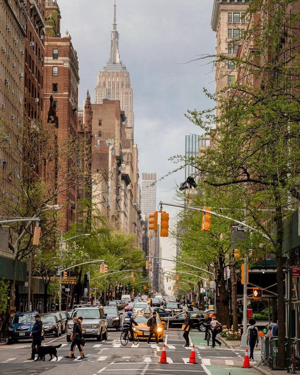 officialdoebags's tweet photo. @dogsofelon is coming to the big 🍎 June 2022‼️In time for NFT week showcasing our NFTs in a permanent location in the new @web3nycgallery opening on 5th Ave.
Come 👀 us! 🔥
#justDOEit #dogsofelontoken #DOEnfts #DOEnft https://t.co/pe4F50SuBD