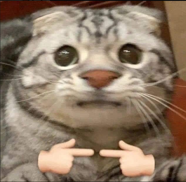 Straycat_nft's tweet photo. Free mint live https://t.co/RrEqY6VUdG

Do you want to try to rescue stray cats or euthanize stray cats? Come and get our free NFT  😺🥳

#freemintNFT #NFTGiveaway #NFTCommunity #NFTCollection #NFTdrop https://t.co/auczjArhA6