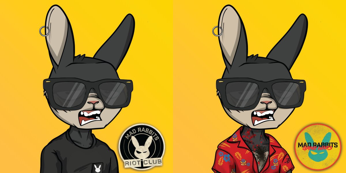 percytown's tweet photo. @MadRabbitsRC gang wars collection has been revealed, check out the evolution! 
Defs had to keep the wayfarers and join the Cartel...very fitting for my OG furry friend 😍 
A free mint pass for each #MRRC to join one of nine gangs....choose your own adventure! https://t.co/8IoI25PU2h