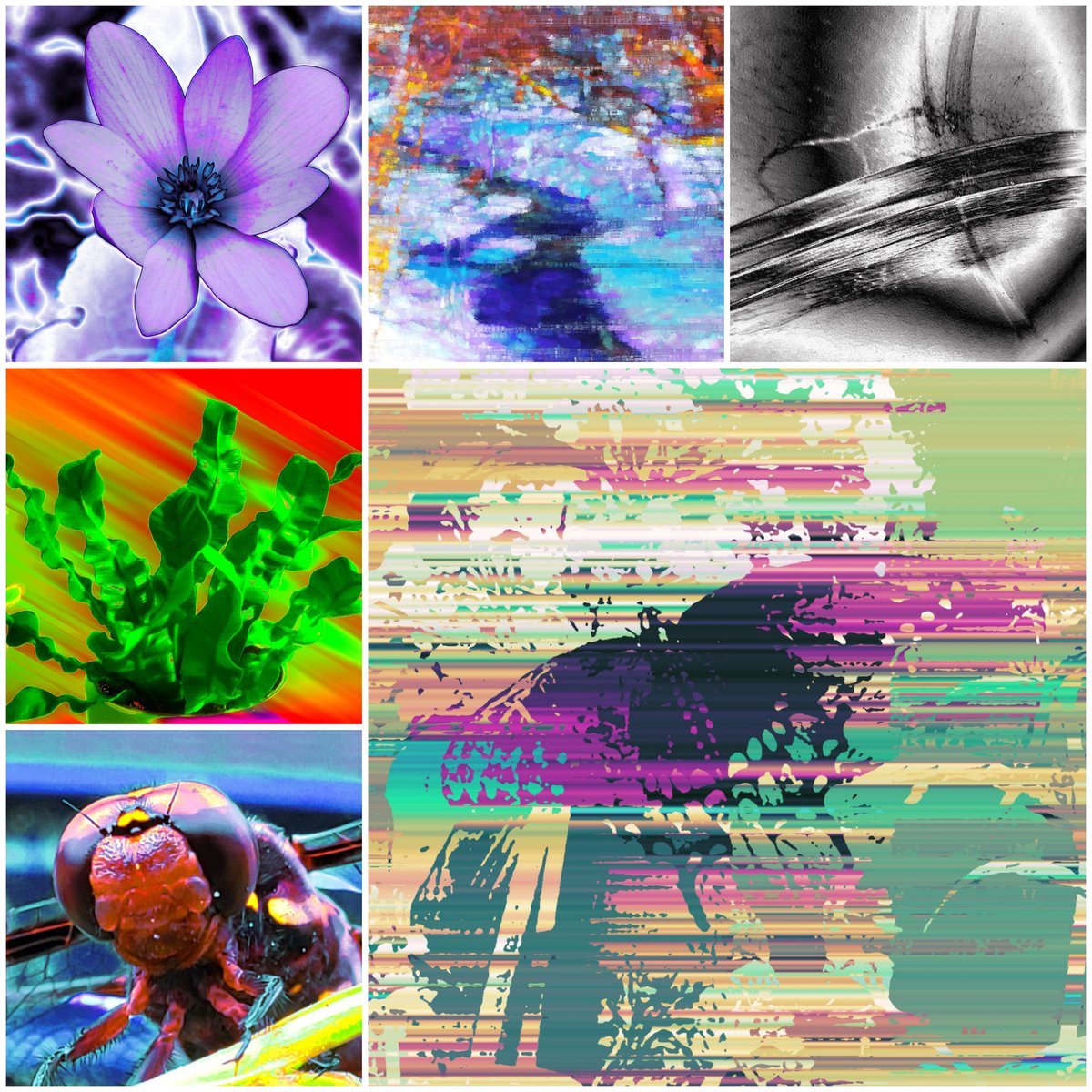 destructor9753's tweet photo. Hey #NFTcommunity, here's a few of my fav #NFTs I've made so far. If you like these, take a look at my #NFTcollection on @opensea here: https://t.co/fqY0OsjzoA  #nftphotography #nftart #nftcollectors  #DigitalDistortions #OriginalArtwork https://t.co/iLFaIyWKzY