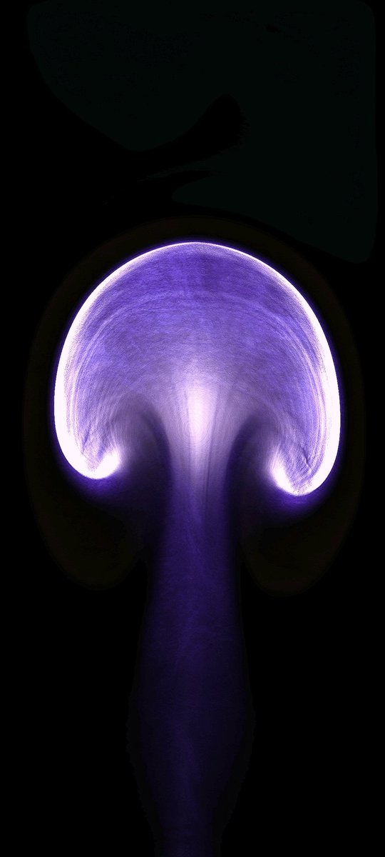A simple flow of Digital Fluid colour #art 

opensea.io/assets/matic/0…

#NFTCommunity #NFTCollection #NFTartist #NFTWorlds #NFTfamily #nft #Metaverse #MetaverseNFT #Metaverso #Polygon #Blockchain #eth #nftphotography #TwitterSpace