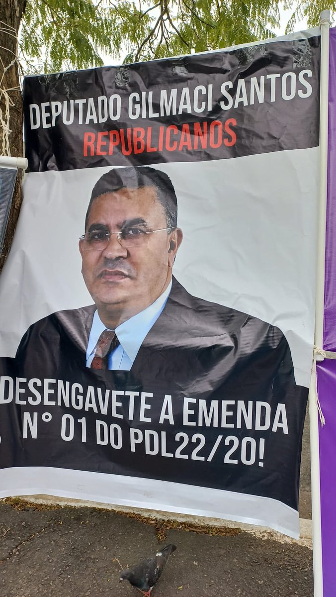 Anagroma663's tweet photo. #DecidaRodrigoGarcia https://t.co/8YydCoWYxG