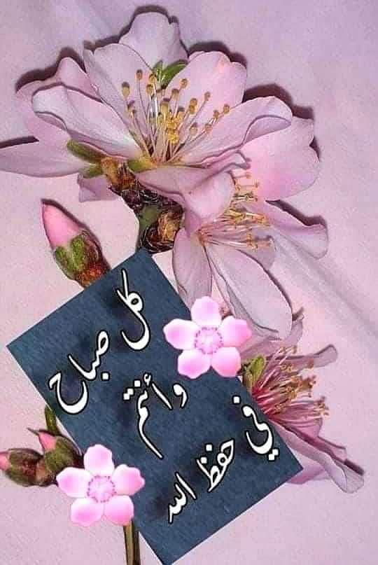 #صباح_الخير
صباح جميل لطيبي القلوب فقط. اما ما عداهم فليعملوا على تصحيح بوصلة قلوبهم وتنظيفها من الشوائب 
Good morning 
Bonjour