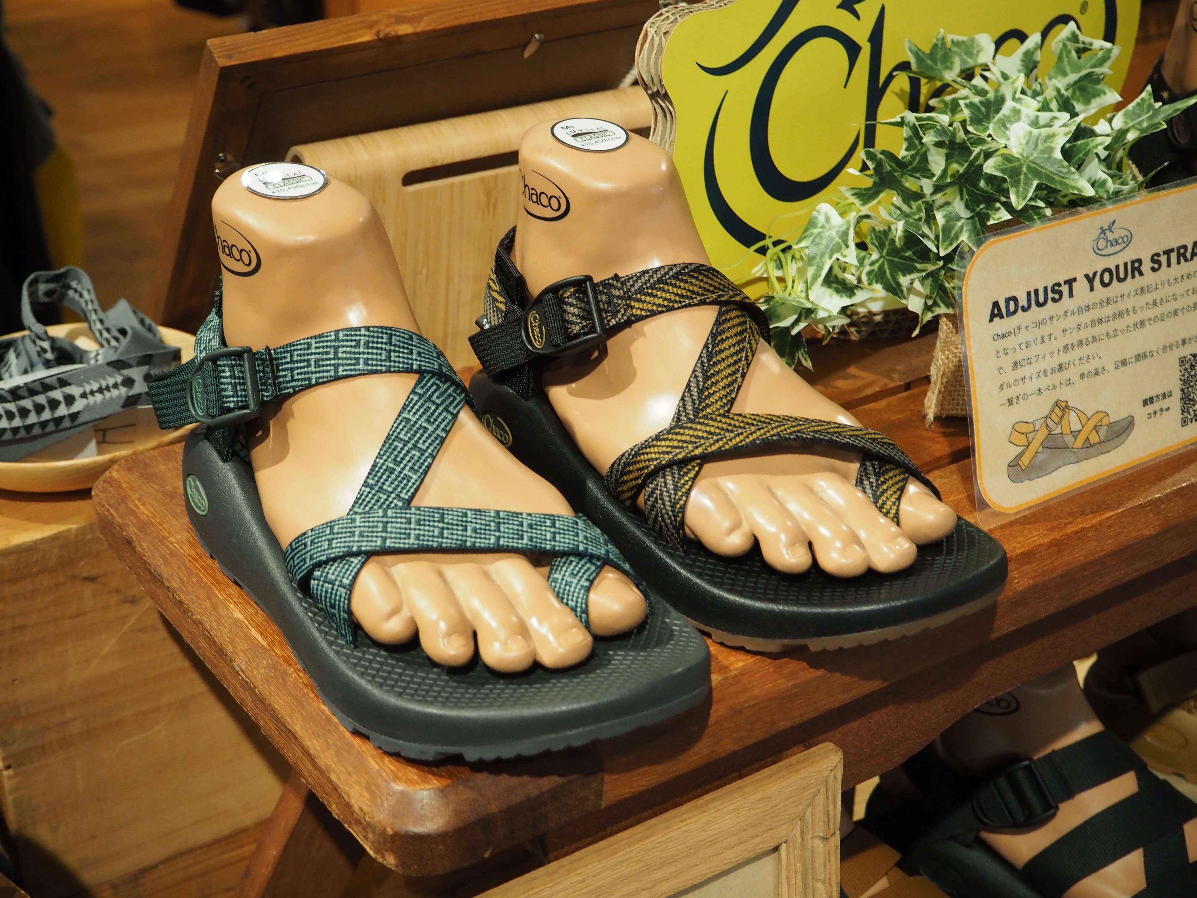 Chacos clearance creed golden
