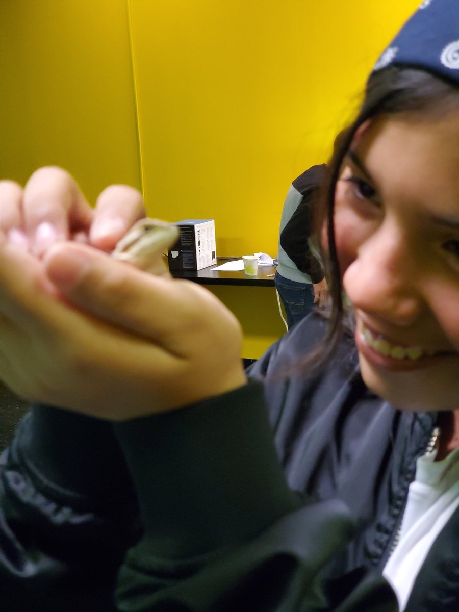 Holland_Middle_Ag tweet media