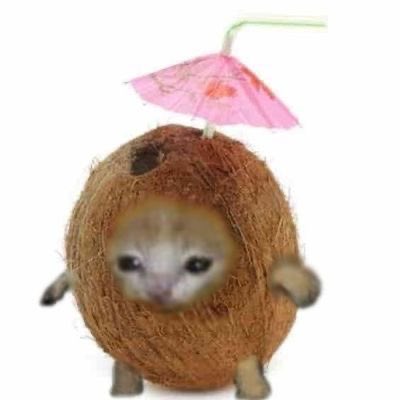 stefan stan tweet media