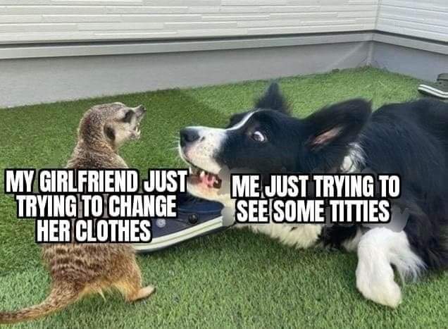 🤣 https://t.co/DVkO9fSLmX