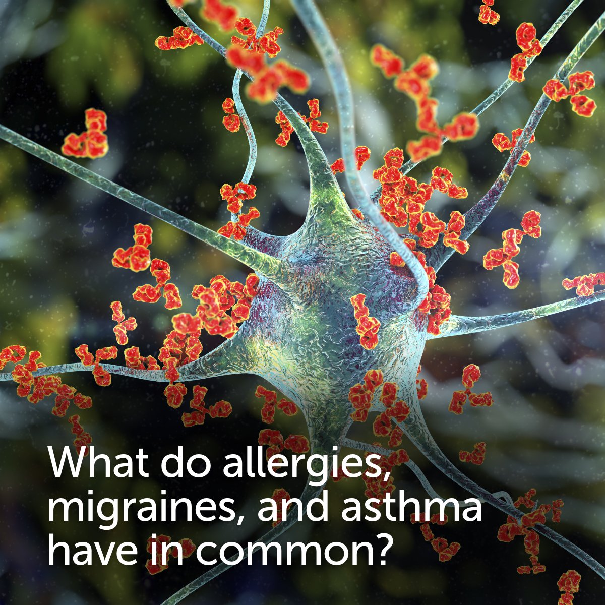 Inflammation plays a major role in the development of allergies, migraines and asthma. #ClearUP harnesses the power of #bioelectronicmedicine, to provide a safe treatment option for chronic inflammation. Learn more on our blog. bit.ly/395SyR0