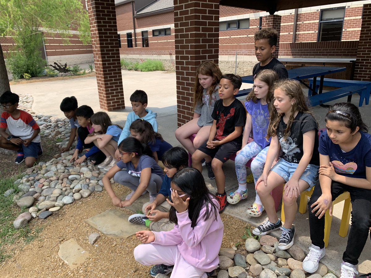 MrsFreeman3rd's tweet photo. We loved watching our ladybugs go through the life cycle process!🐞 @DCEtrailblazers https://t.co/TbFJHRRHjQ