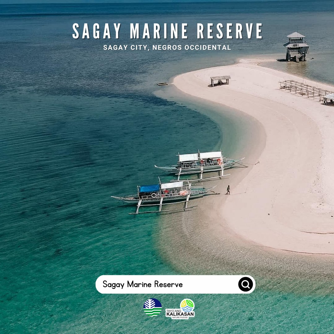 DenrVisayas's tweet photo. EXPLORE: Sagay Marine Reserve, the seat of the sea bounty in Negros Occidental. https://t.co/GBJTPvYaMm