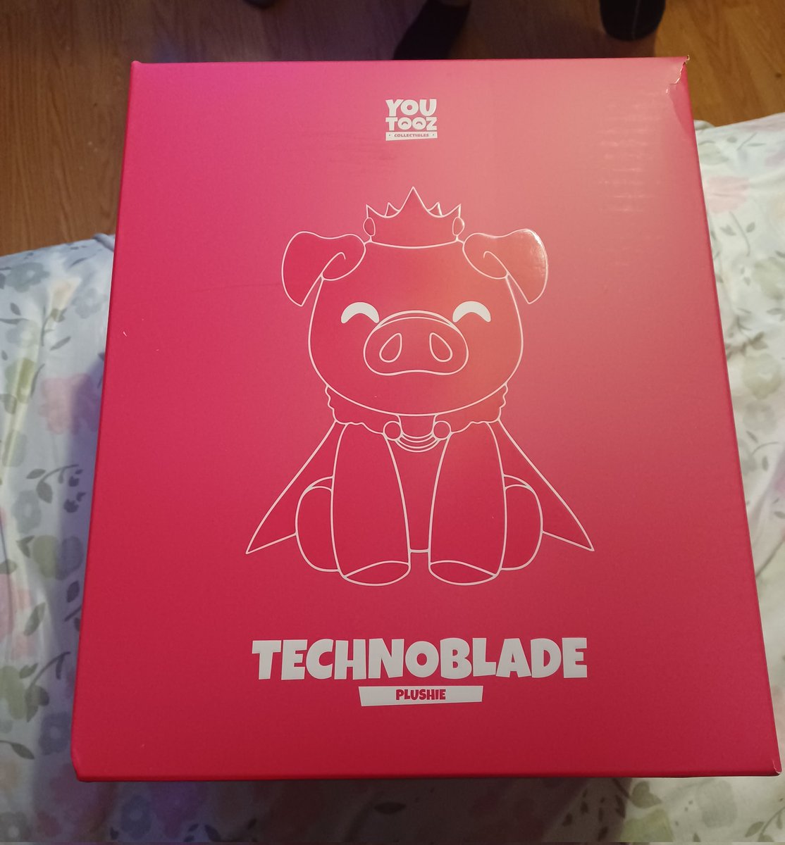 KumisCollection's tweet photo. Hes finally heree π so freaking cute
#technoblade #technoplush https://t.co/yvGendIWrz