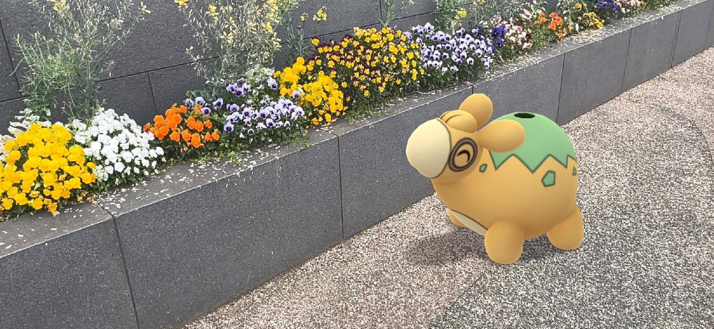 Twitter 上的 Pokemon Go Japan 5月の スポットライトアワー は 毎週火曜日 日本時間18時から19時まで開催されます 5月10日 ドンメル ポケモンを博士に送った際に獲得できる ポケモンのアメ が2倍 ポケモンgo T Co Kacgbudmbg Twitter