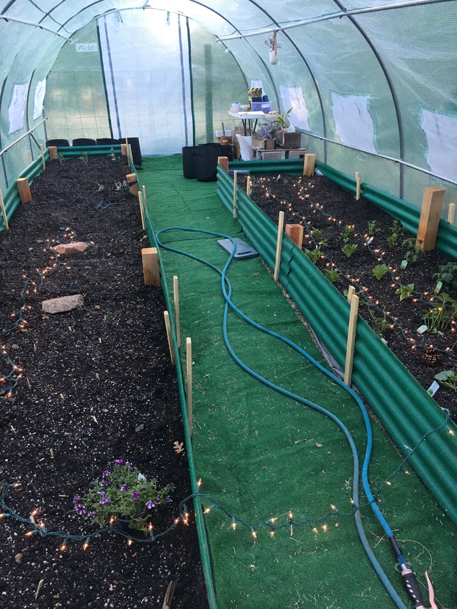 AZMaGHaMaMa's tweet photo. @WendyRogersAZ @checkthls Me too! 

Nothing screams “security” than growing your own food. 

🌱 https://t.co/Gq9NZ79qqU