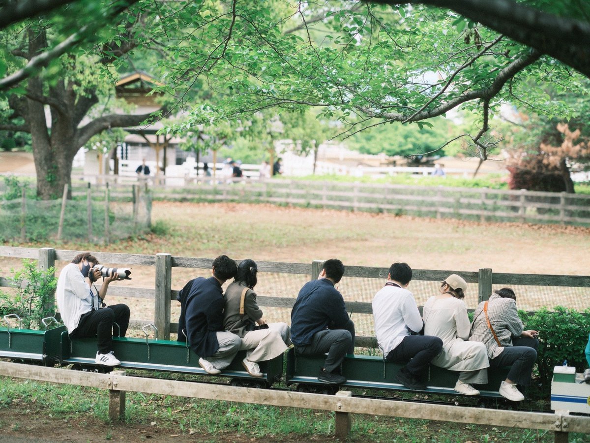 yagino_otoko's tweet photo. みんなを後ろからこっそり
フジの撮って出し布教
緑が最高
#GFX100S #GF80mm #Duto #クラシックネガ #やまみーと https://t.co/qDfCCYHzAb