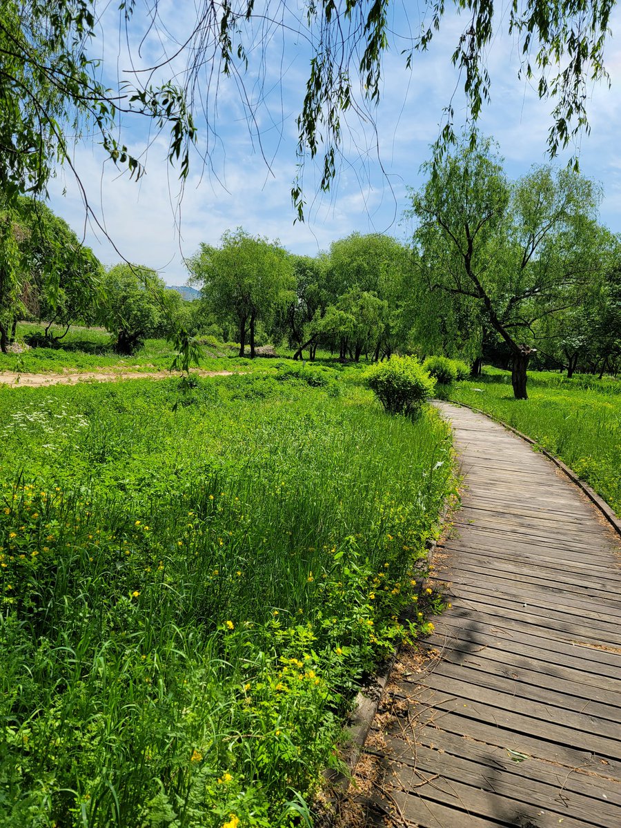 날씨가 좋네요.바람도 기분좋게불고 녹음도좋고  풀 냄새도 향긋하고 혼자것이 아싑군요.
외롭고 홀로된애기들은 편히오세요~~
자극적인거 좋아하는 나이많은 돔이네요~~
아내나 여친 암캐둔 네토섭커플섭도 환영해요.^^
라인 hye8960