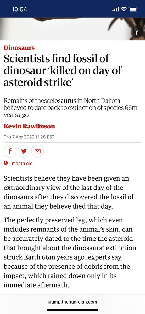 BossMedia027's tweet photo. This is a news about: Scientists find fossil of dinosaur ‘killed on day of asteroid strike’.

For more info: https://t.co/zaPrnoRQNz

#dinosaur #news #article #facts https://t.co/Aocszg9lHj