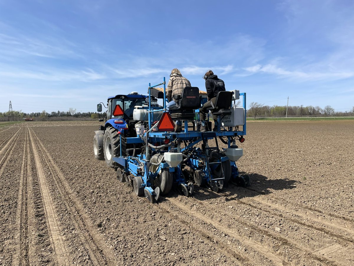 Albert Tenuta tweet media