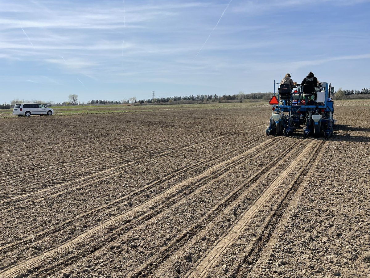 Albert Tenuta tweet media