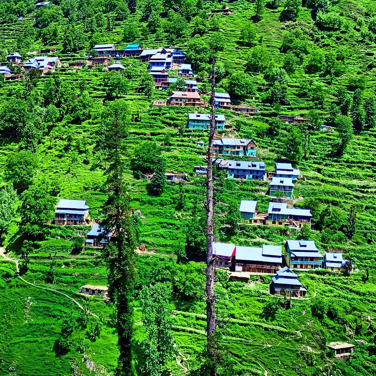 PogalParadise's tweet photo. VILLAGES ARE NOT TECHNICALLY ADVANCE LIKE CITIES . BUT VILLAGES CAN GIVE YOU MENTAL PEACE AND FRESHNESS.
#beautiful #brautyofnature #beautyofpogalparistan #beautifulscenery #beautyphotography #hallamaligam #maligam #amazing #village https://t.co/8b5naM9B9L