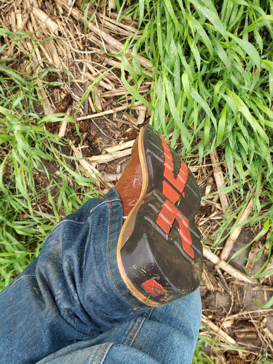 3.8" yesterday.  And more coming down right now. Less than 1% planted around here. Many people who haven't put a seed in the ground yet. #noplant22