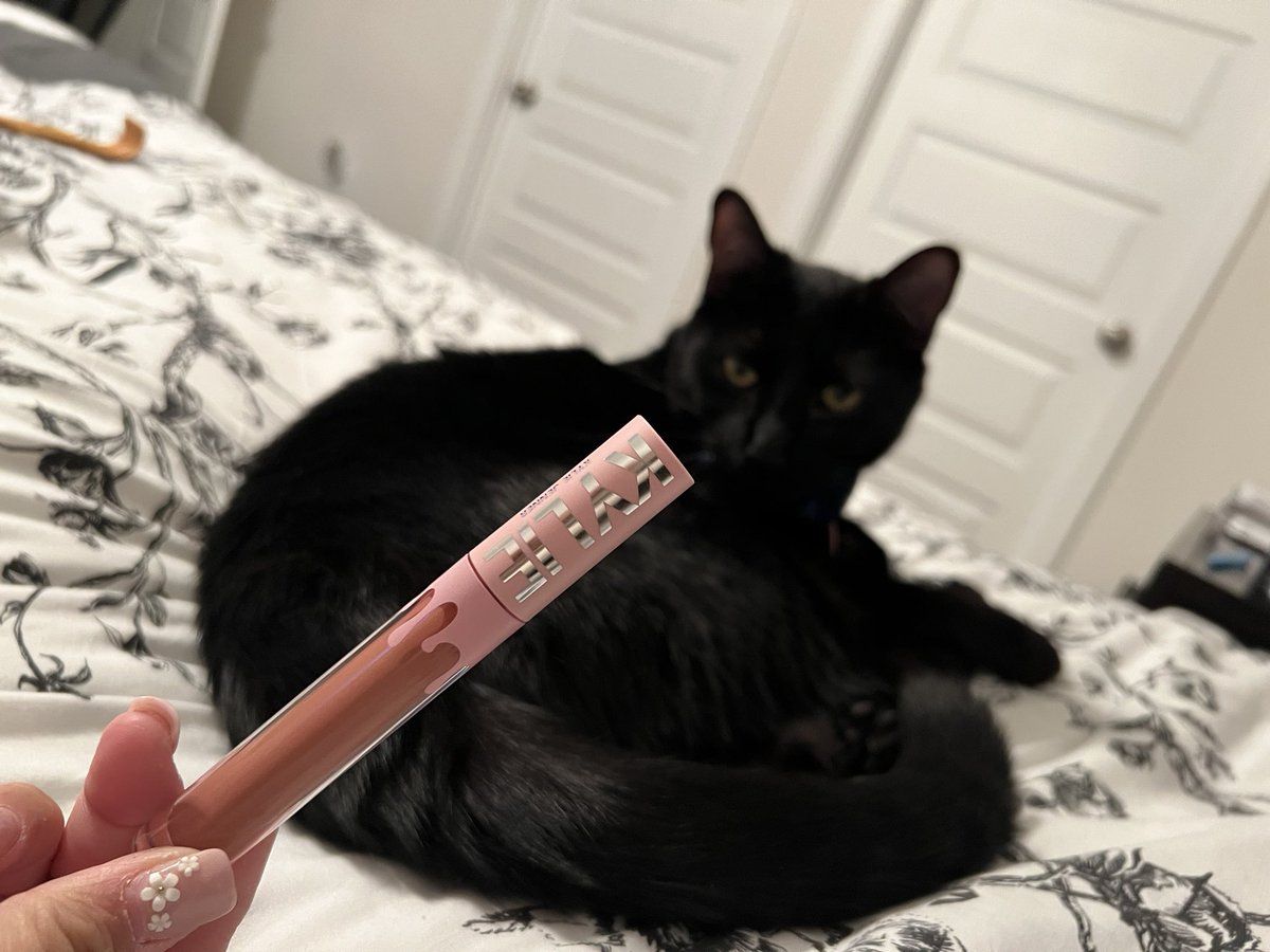 SimplySabii's tweet photo. My cat loves some @kyliecosmetics @KylieJenner https://t.co/Wujr9bpRgd