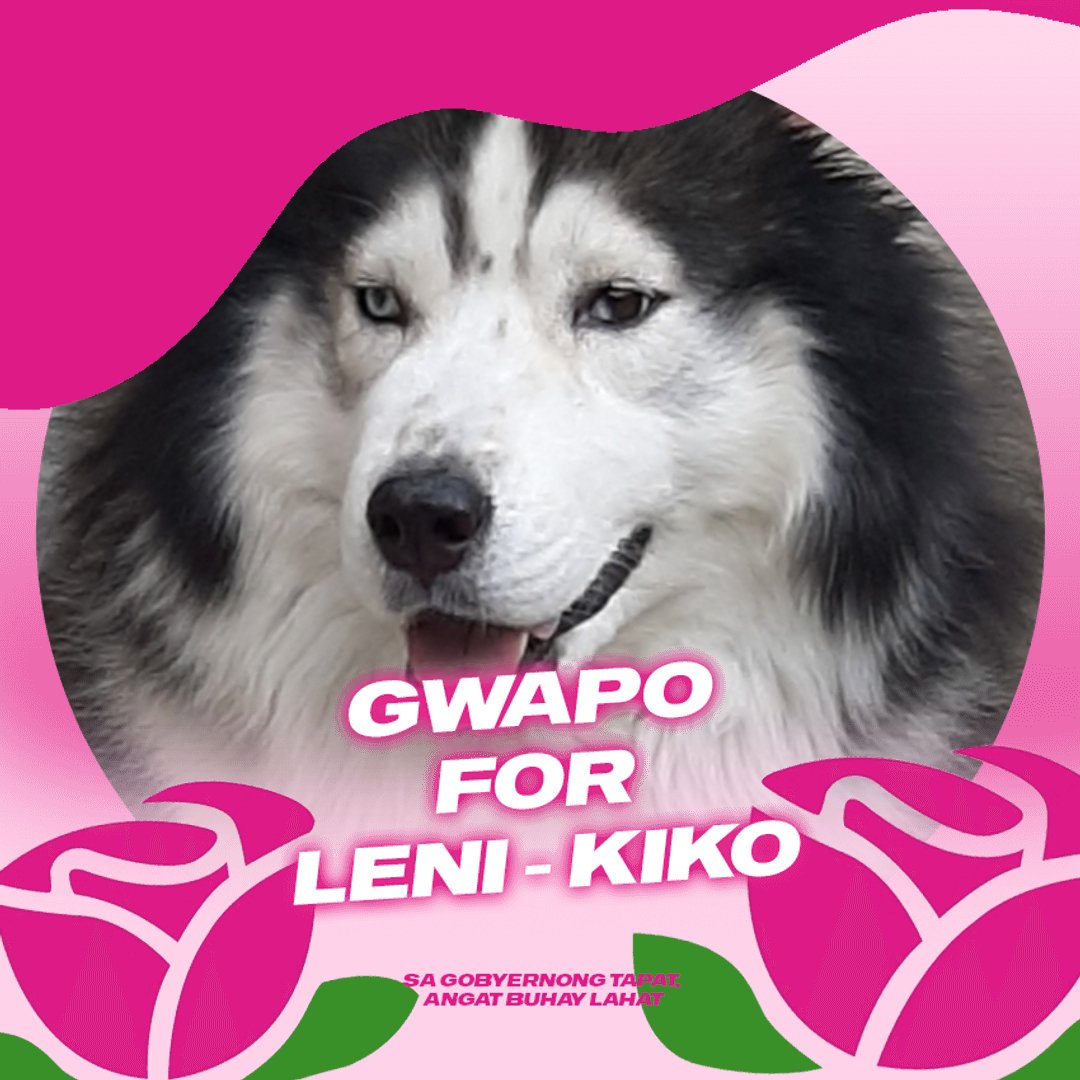 PrimiciasHappy's tweet photo. @MgaGwapoForLeni https://t.co/2loMhuOMu3