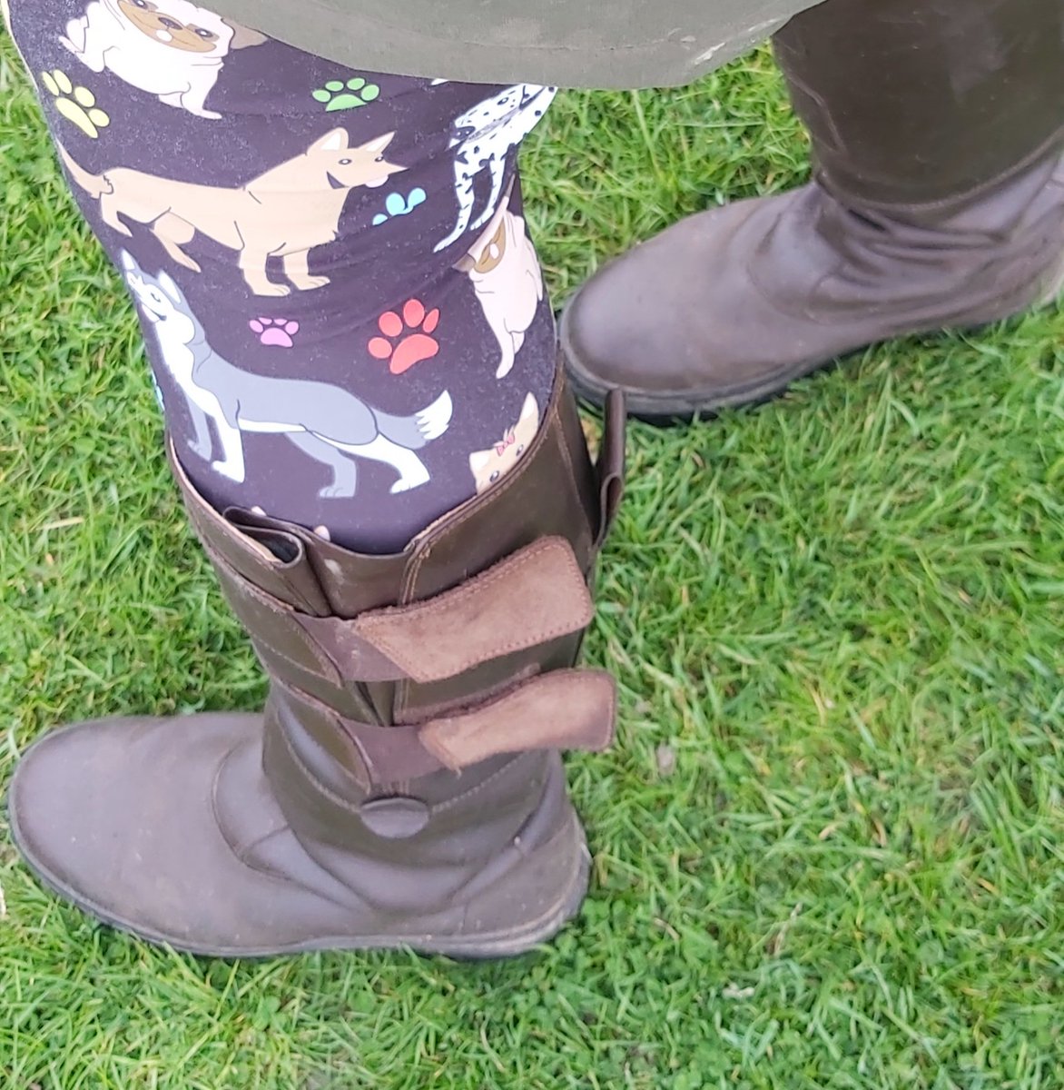 Cath_Sharman's tweet photo. This morning's #dogwalking combo brought to you by @TikibooFitness and @Tuffaboots https://t.co/bD3h5KXuBr