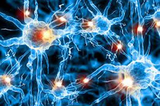 MuhammadAkramah's tweet photo. @bgreene We probably become #late to #realise the #moment of #cause and #fail to #observe #timely the #effect. We may not #khow the #threshold of time dilation for neurological activity for #Action & #Reaction. https://t.co/x1KKGnmThr