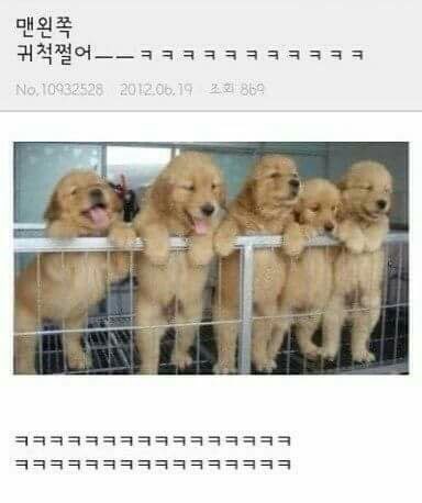 joeun_feel's tweet photo. @ https://t.co/ZGmOfpiUPD