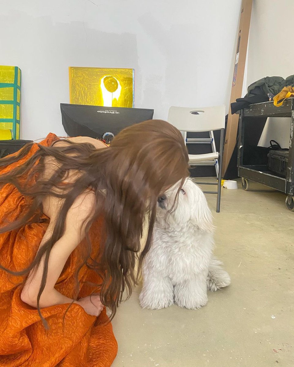 miyeonschu's tweet photo. 구애🧡🐾🐶

#미연 #MY #Drive #Miyeon https://t.co/x0vjPEeFom