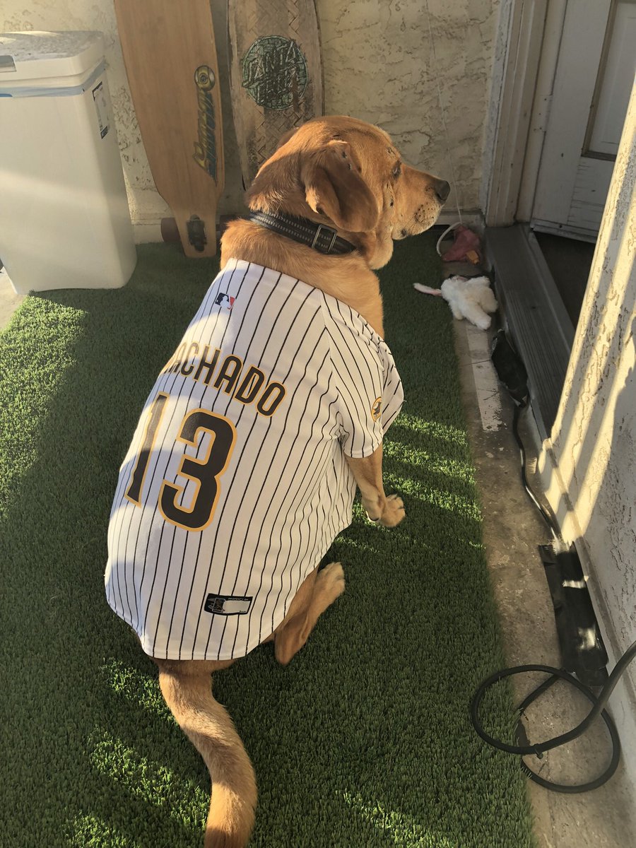 ericareed's tweet photo. #padrespets https://t.co/Nq9udELel0