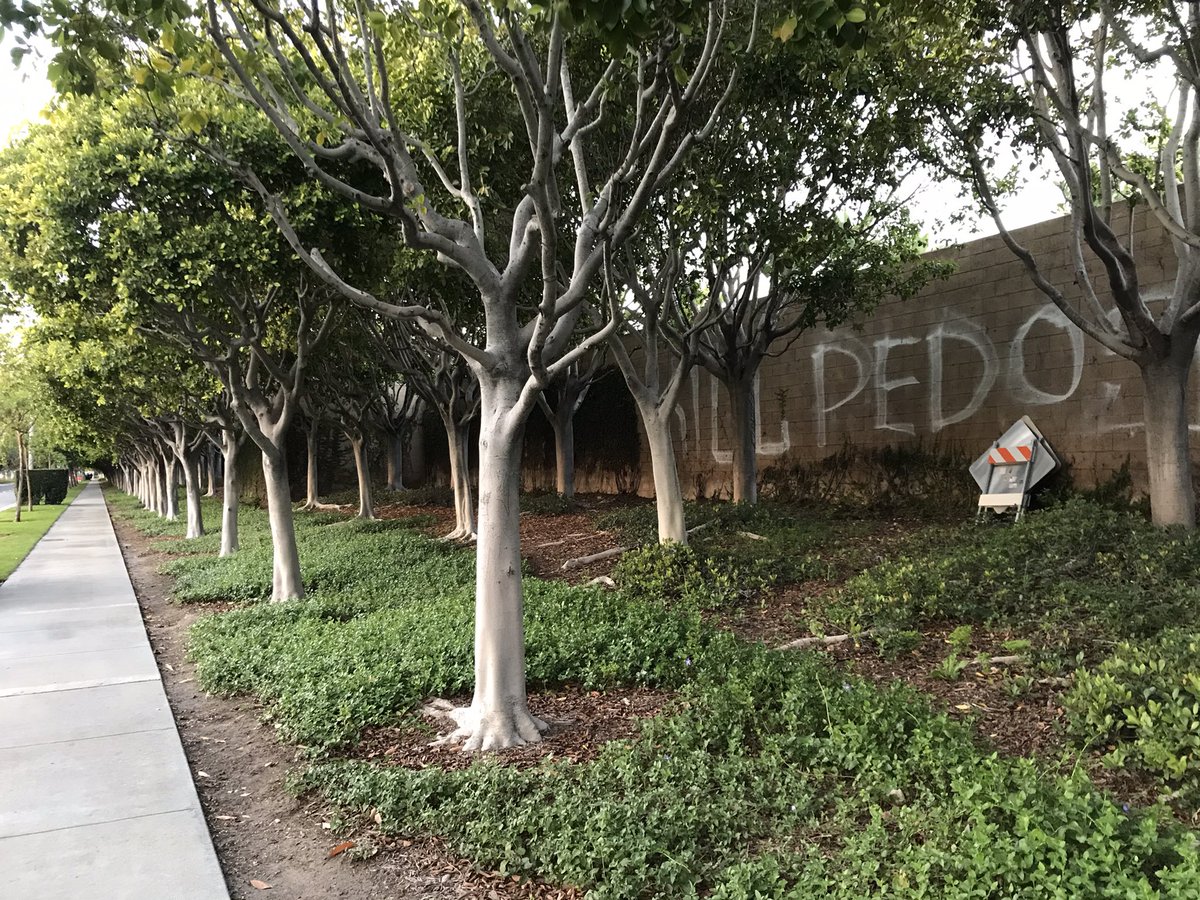 MagicAndWalnut's tweet image. Shocking “KILL PEDOS” graffiti has popped up along a @Disneyland Resort wall facing Walnut Street — possibly linked to the far-right protests last month on Harbor Blvd. The concrete wall surrounds the main #DowntownDisney parking lot.