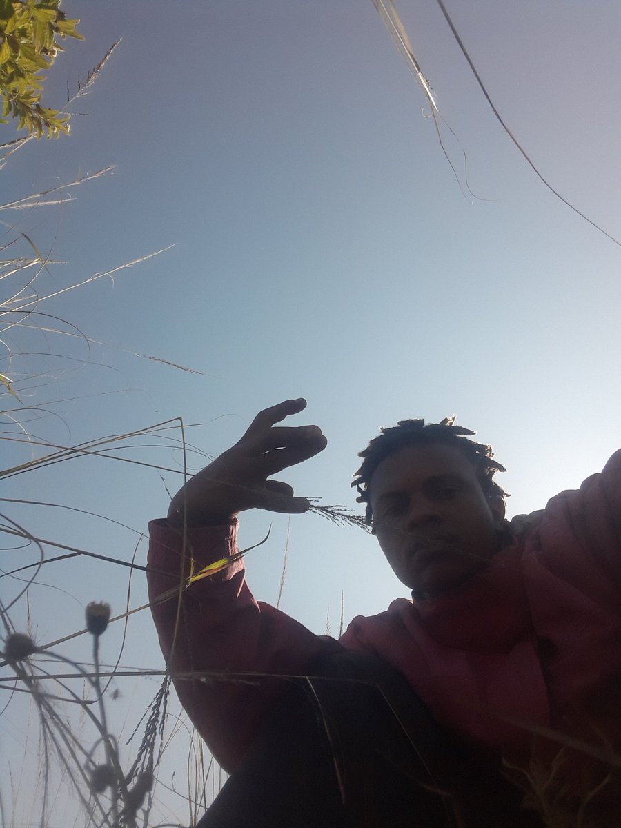 CharlieSwiss345's tweet photo. 💨 https://t.co/ElG94lle3R