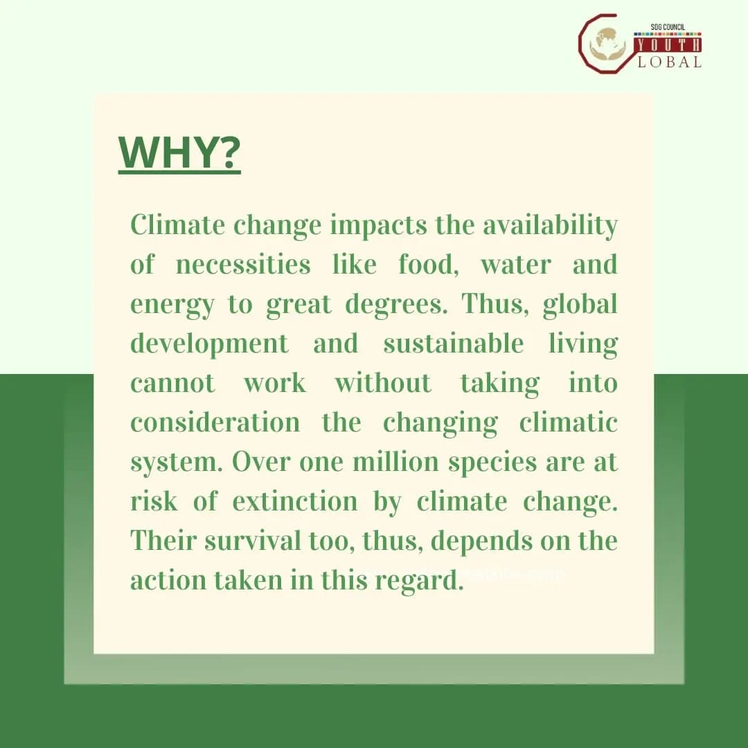 GoalsCouncil's tweet photo. Barack Obama said, “We are the first generation to feel the effect of climate change and the last generation who can do something about it.”Today, the climate crisis is the most important one that mankind faces.#UN#SDG13#ClimateAction #COP26 #ClimateCrisis #COVID19 #Environment https://t.co/M50FMFzqCx