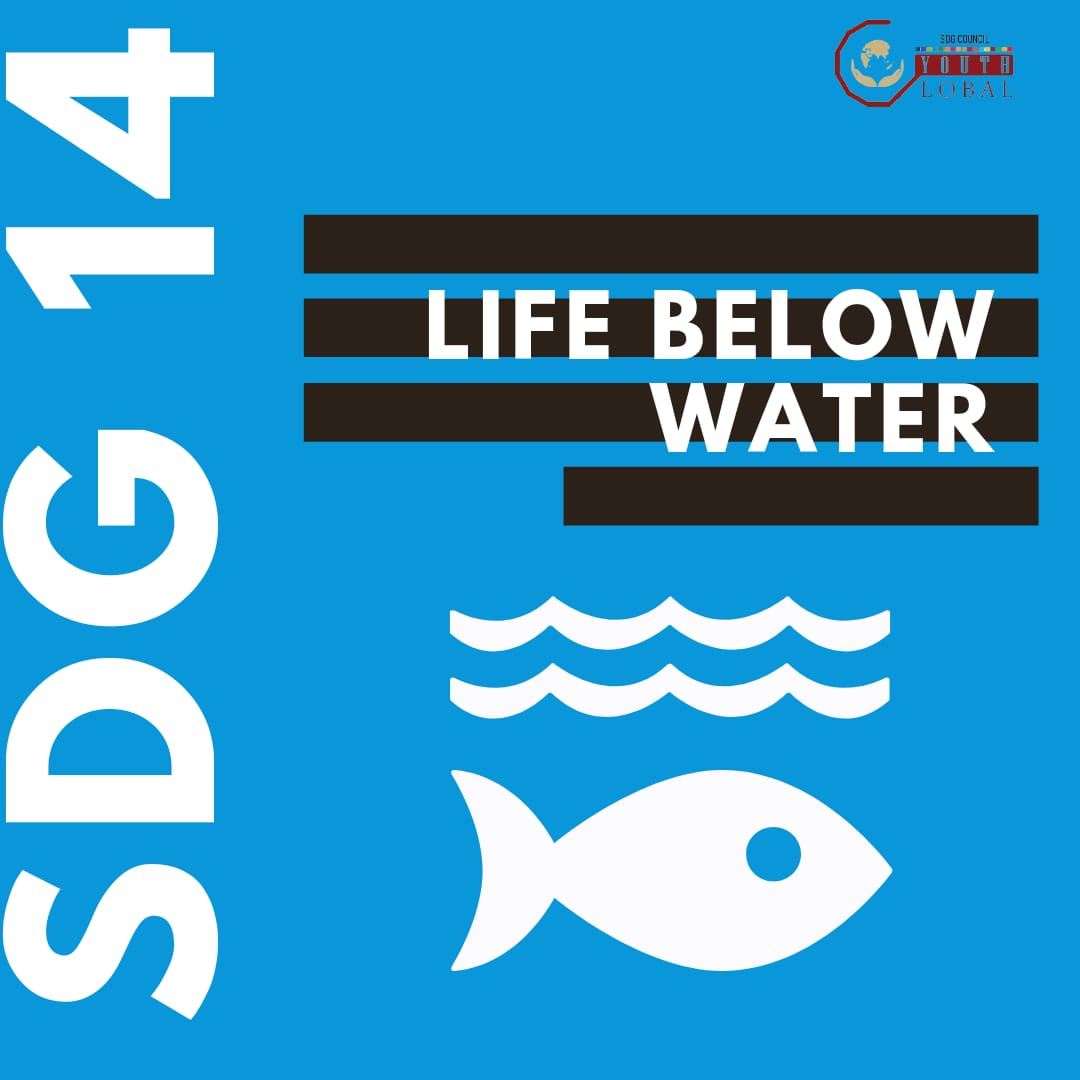 GoalsCouncil's tweet photo. Greetings from Sustainable Development Council. Check out our new post and know about why life below water matters. 
#sustainabledevelopmentgoals#sdg14#cleanoceans#lifebelowwatermatters https://t.co/915WZCgwqD