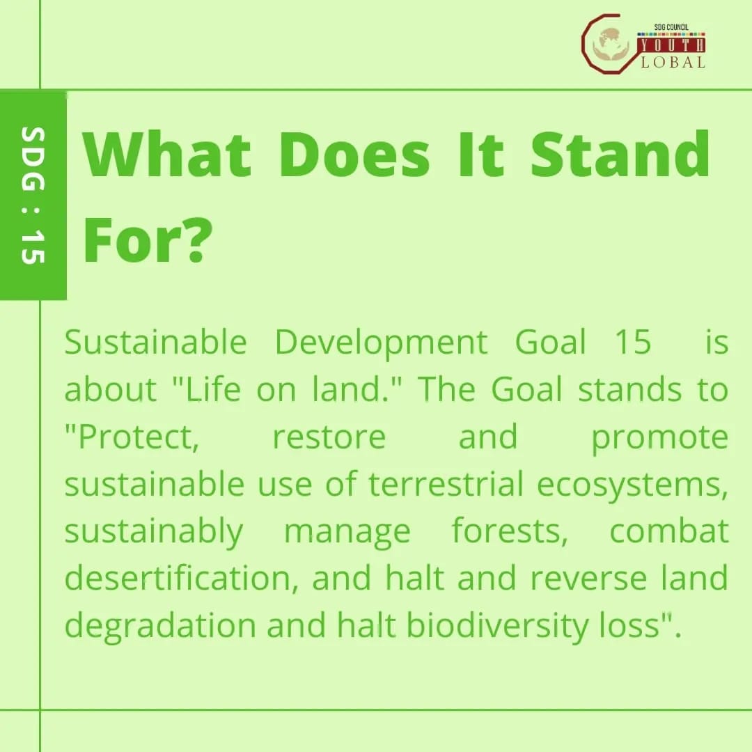 GoalsCouncil's tweet photo. “Human being are the smartest animal on land”
Are we really the smartest one when the land we are living on is on fire ?
#SDGs#15SDG#UN#India#2030#global#trees#poaching#deforestation#climatechange#sustainabledevelopmentgolas https://t.co/5JgijbvS35