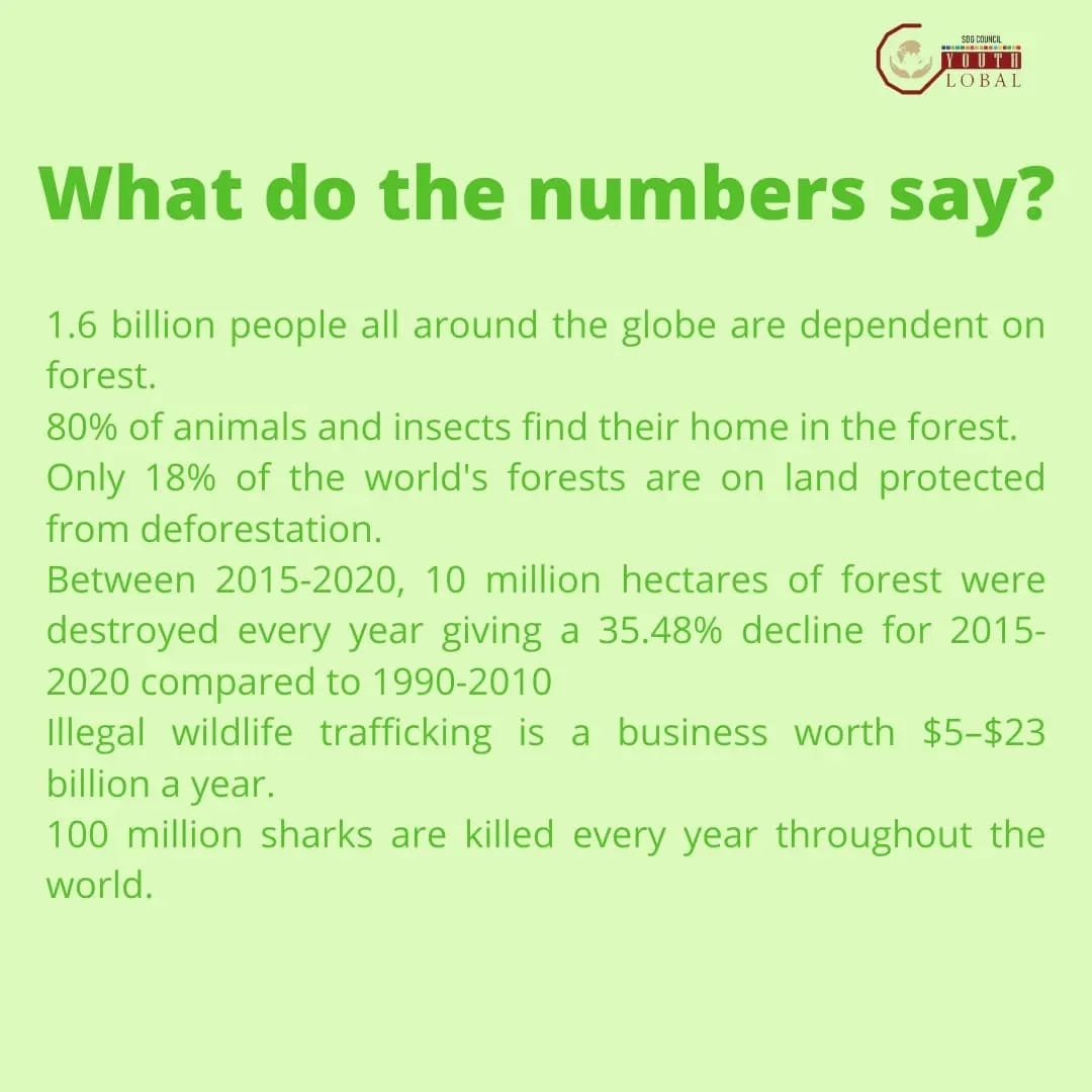 GoalsCouncil's tweet photo. “Human being are the smartest animal on land”
Are we really the smartest one when the land we are living on is on fire ?
#SDGs#15SDG#UN#India#2030#global#trees#poaching#deforestation#climatechange#sustainabledevelopmentgolas https://t.co/5JgijbvS35
