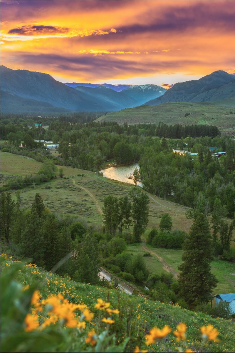 Winthrop Washington tweet media